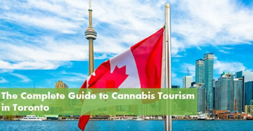 Best cannabis related activities in Toronto - by 10buds.com